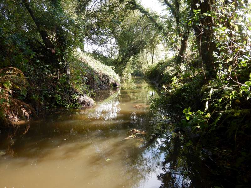 Enfin la rivi�re retrouve son cours normal