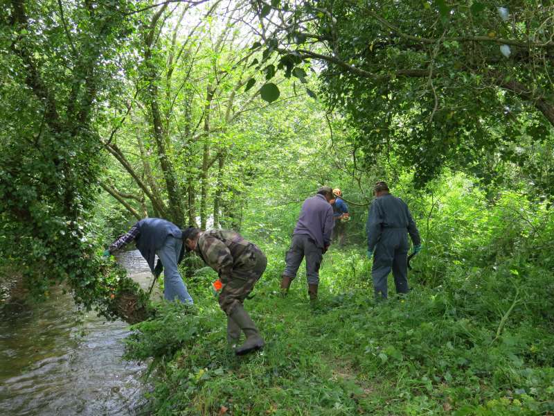 Chacun retrouve son activit� favorite: faucille, machette, d�brousailleuse...