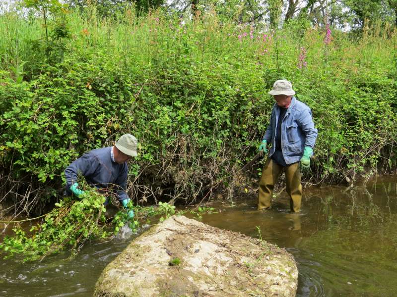 Gilles et Guy dans les ronces!
