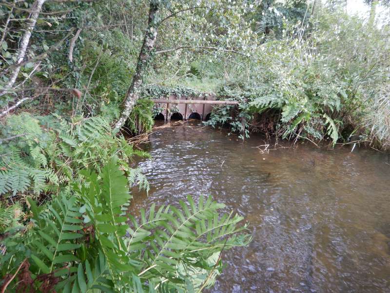 3 des 5 buses �taient bouch�es dont 2 par des bidons...