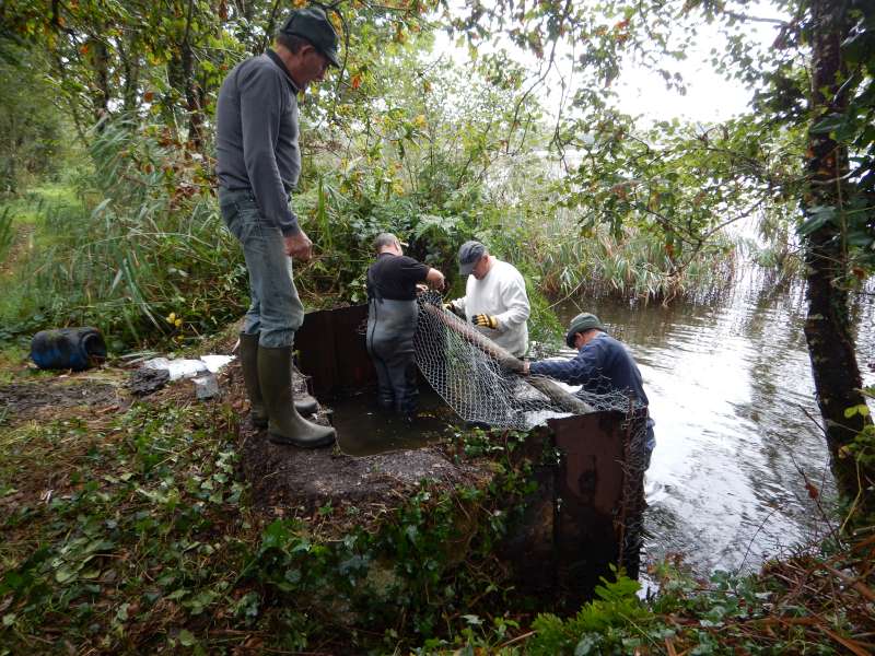 Mise en place des protections