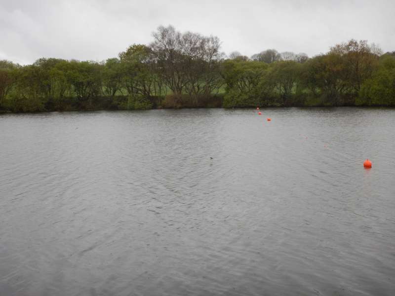 La partie sud-est du lac, d�limit�e par des bou�es, est d�sormais interdite � toute p�che.