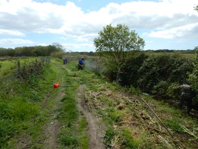 Le soleil nous honore enfin de sa pr�sence!