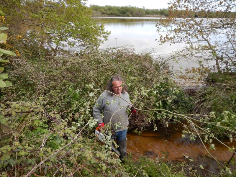 Encore quelques coups de tron�onneuse, Dominique...