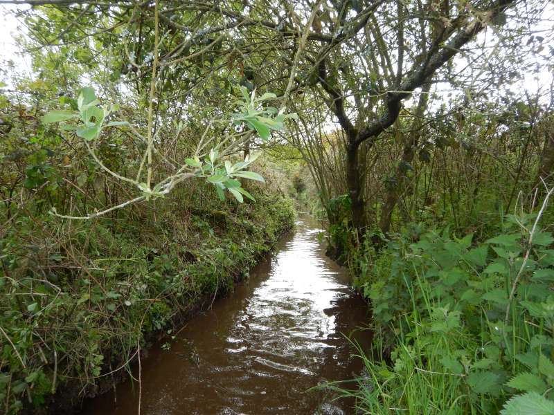 Et le ruiseau retrouve sa beaut� naturelle