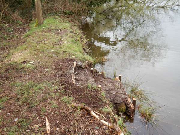 Cr�ation d'escaliers pour faciliter l'acc�s au plan d'eau