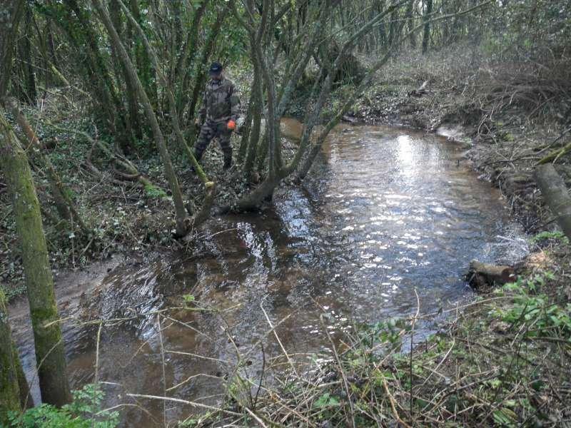 Et voil� qui est fait.