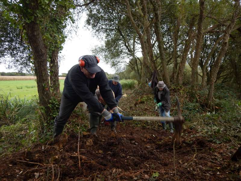 M�me le pr�sident joue les for�ats