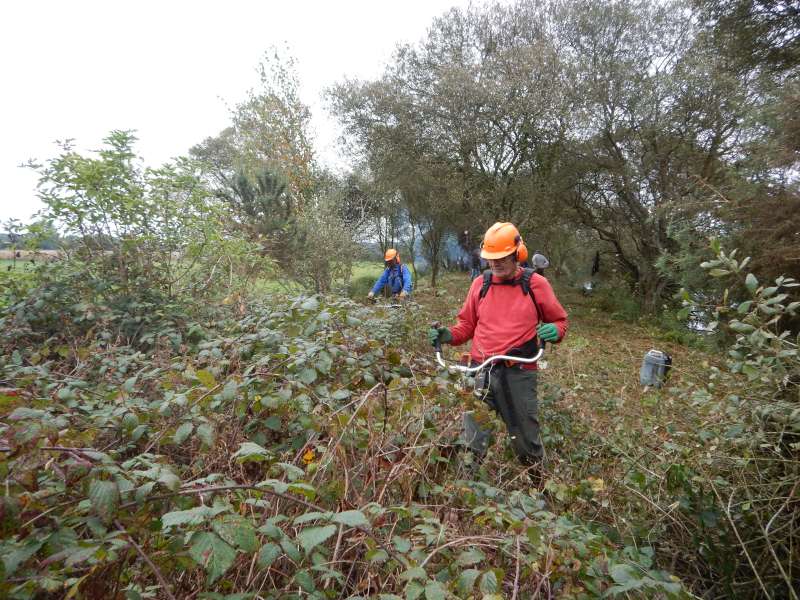 Joe, et G�g� d�brousaillent (ainsi que Michel)