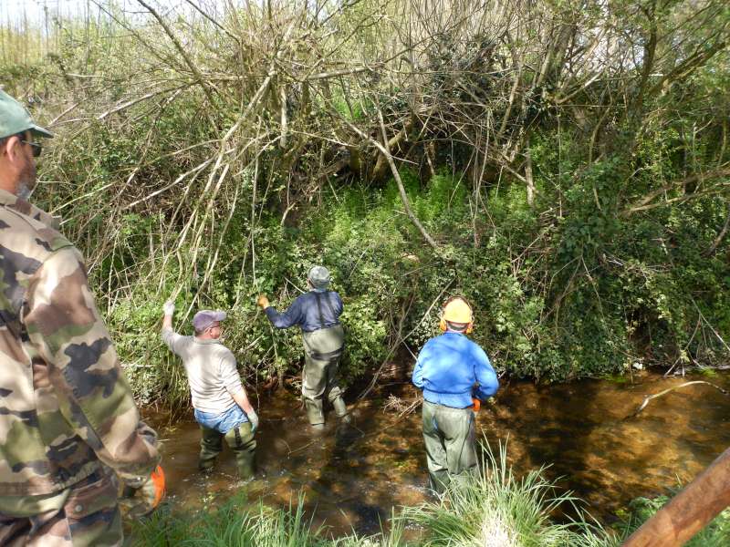 Les petites branches, c'est juste pour l'�chauffement...