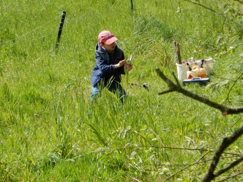 La rel�ve est l�, en observation