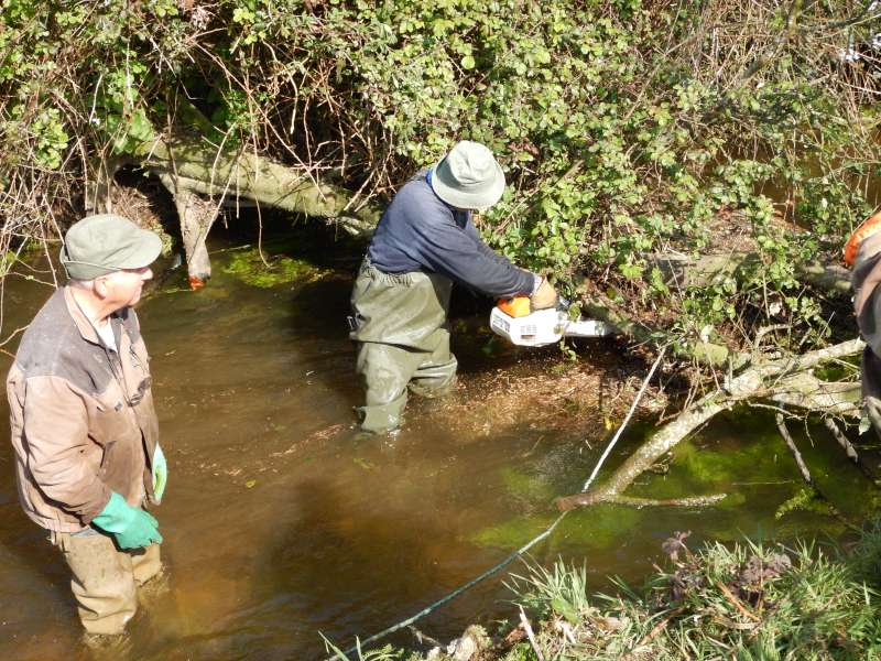 Quel m�li-m�lo!!!