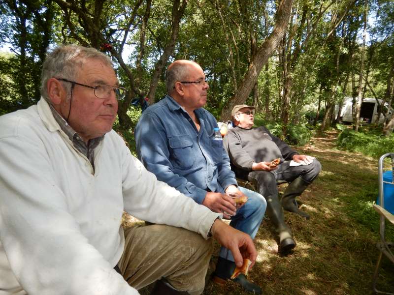 Rechargement des batteries