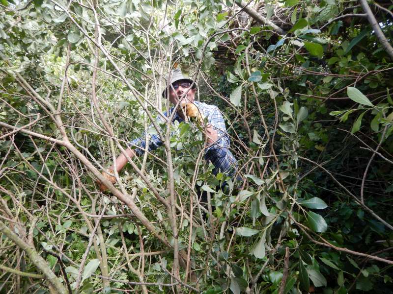 Il y a de quoi faire, hein... Gilles!