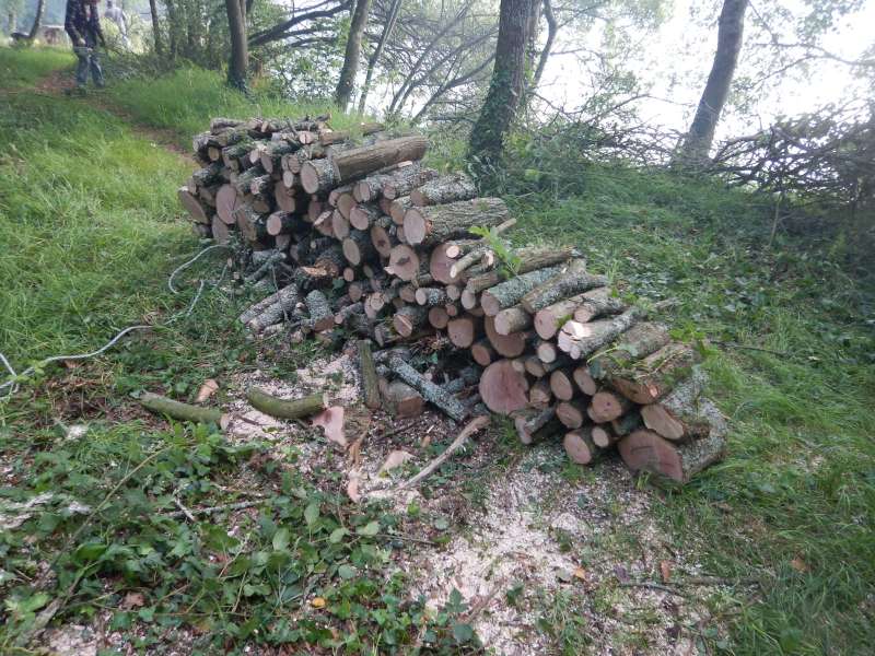 Vu la taille du tas de bois, l'hiver risque d'�tre rigoureux