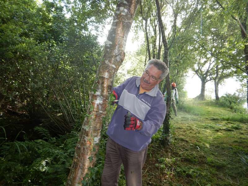 Roland n'aime pas le lierre