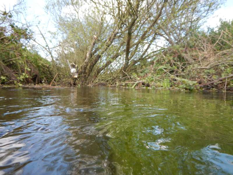 Le dernier bouchon avant