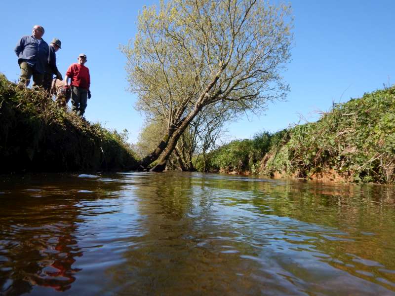 le m�me apr�s 3 heures d'efforts!