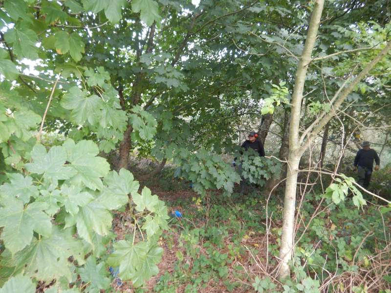 Il faut d'abord se rep�rer...