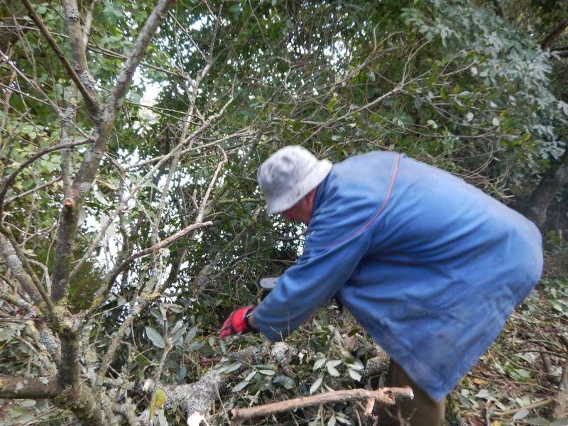 Guy fait chauffer la tron�onneuse