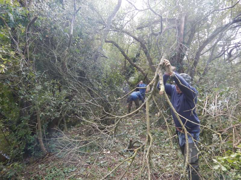 Il ne suffit pas de couper, il faut aussi d�gager!