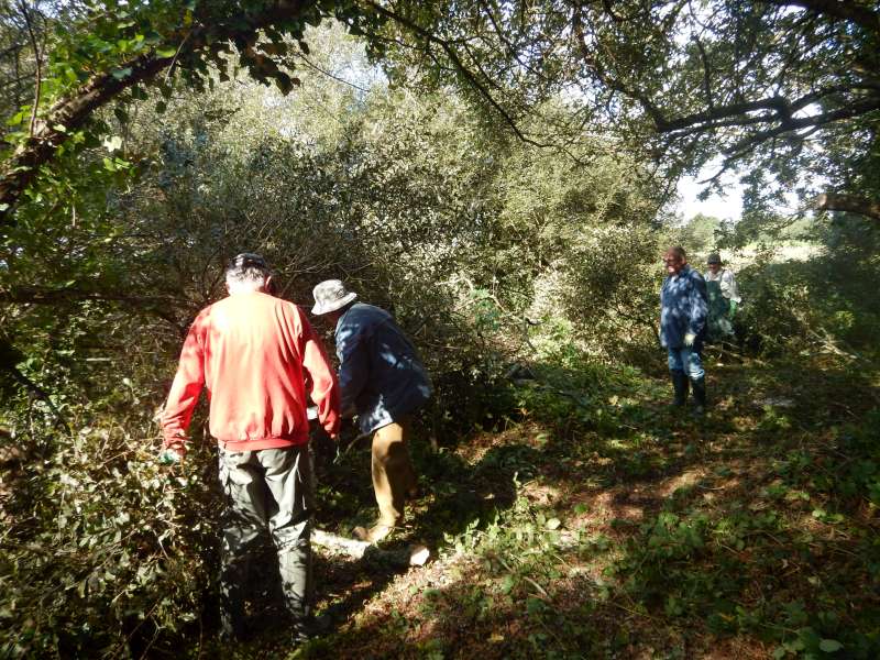 On commence � y voir plus clair!