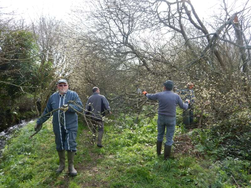 Premier chantier � Poulinoc