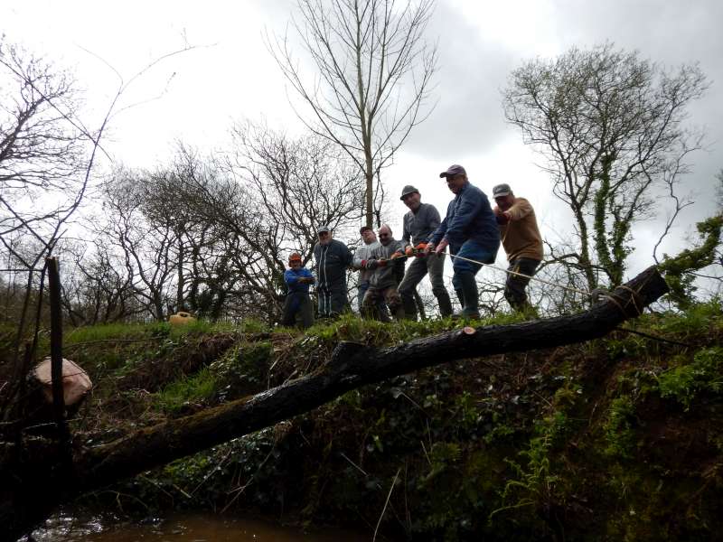 Heureusement, la main d'oeuvre est volontaire!