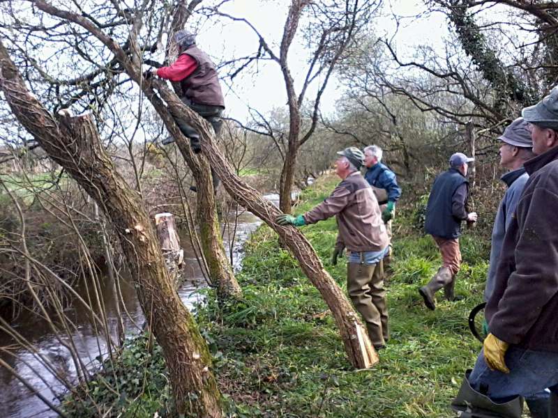 Second chantier, avec Joe le tron�onneur-voltigeur...