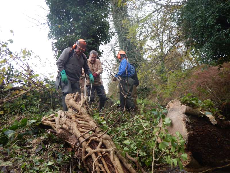 7-Ce palan multiplie la force par six