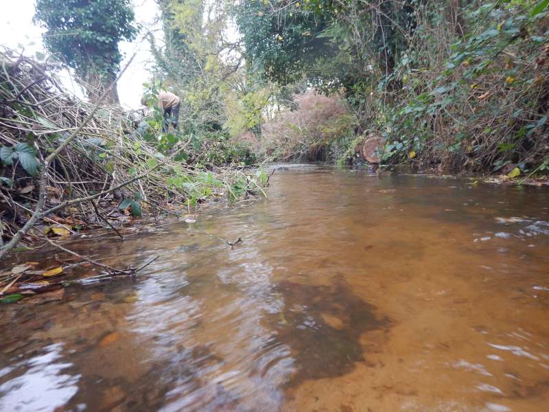 9-Le cours �cologique est r�tabli