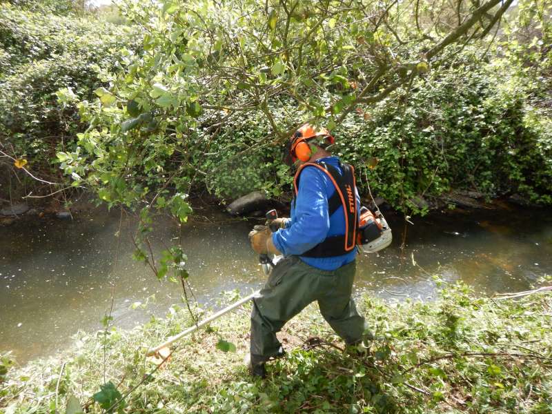 G�g� s'occupe des ronces, et ne trouve m�me pas le temps de nous asperger!