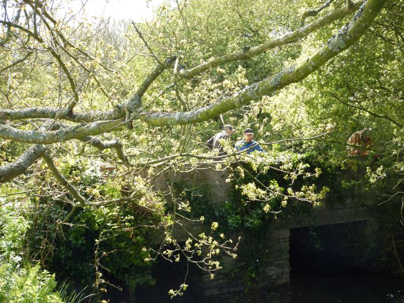2 Michel(s) et Roland s'attaquent au lierre et aux ronces