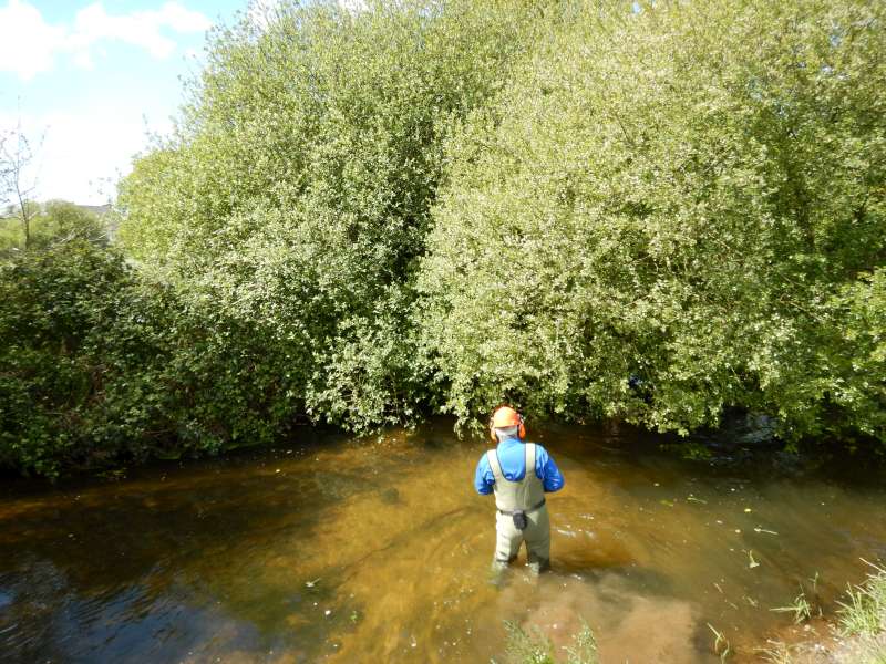 Bon, quand faut y aller, faut y aller!