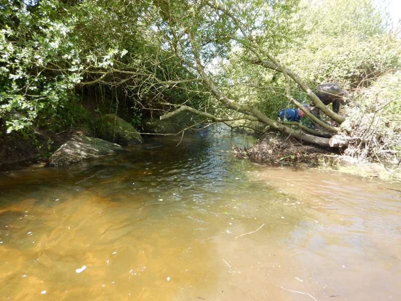 Guy et Serge finissent de d�gager l'embacle avant d'en finir avec ce saule