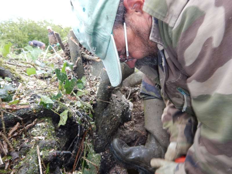 Serge coupe les derni�res branches immerg�es � la scie � main