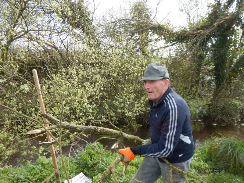 Pierrot, en plein boulot!
