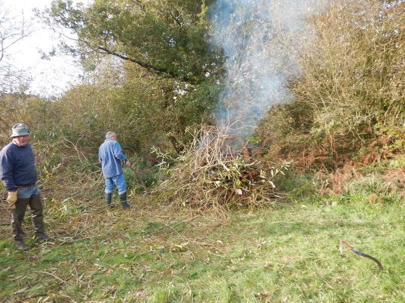 6-A la demande de l'agriculteur, nous avons br�l� tous les branchages