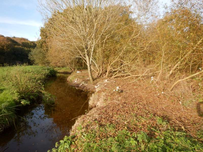 8-Les migrateurs vont pouvoir migrer!