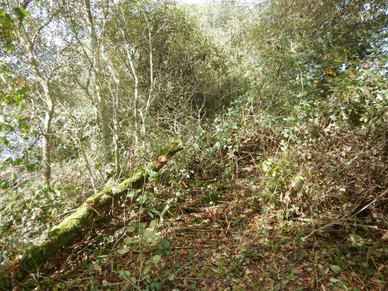 L'apr�s-midi s'annonce compliqu�e!