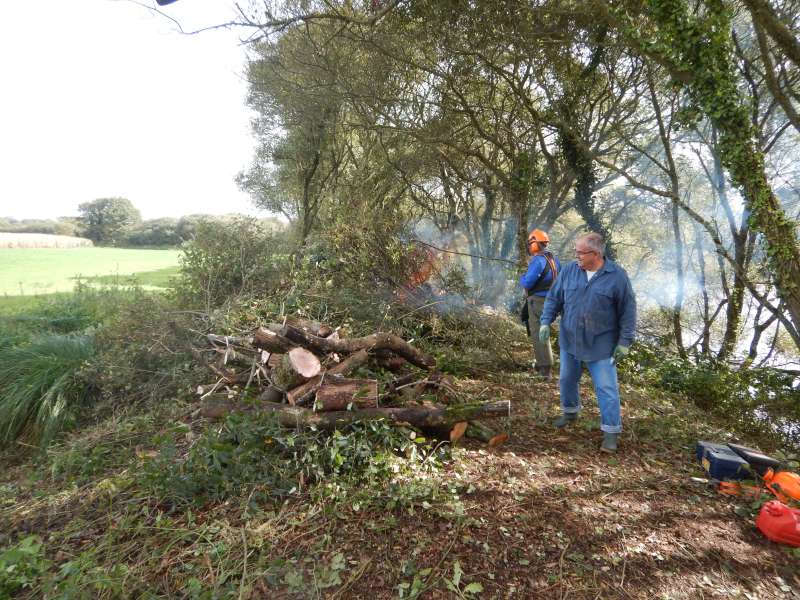 Vu le tas de bois, les tron�onneuses doivent  chauffer