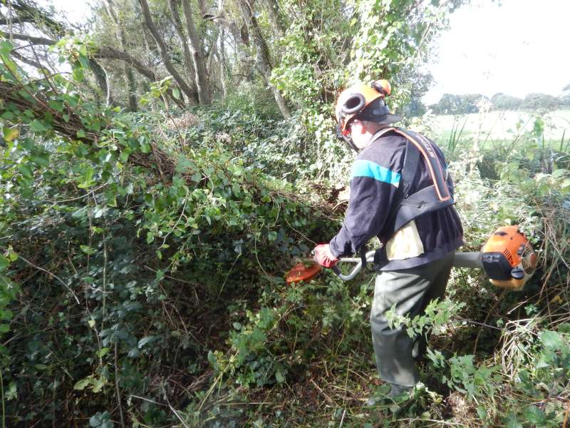 Michel essaye de g�gager le terrain
