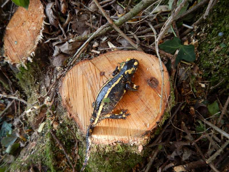 Petite visite surprise!