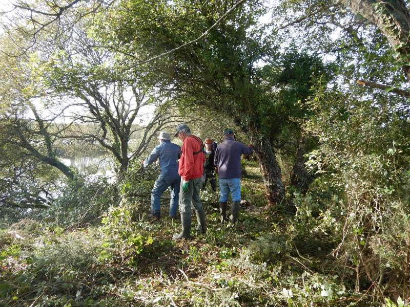 Le paysage s'�claicit