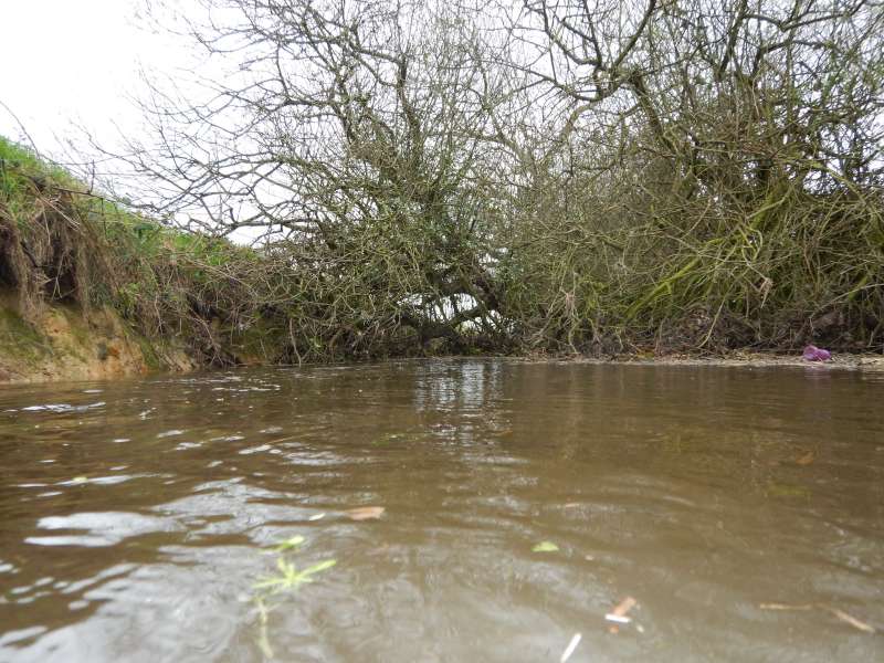 Et quelques m�tres plus loin...