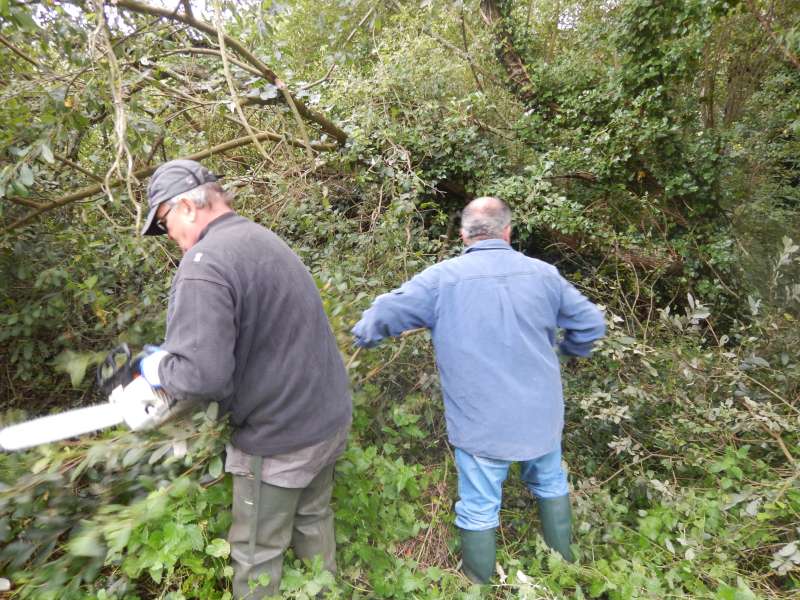 Le Pr�sident � la tron�onneuse, et Michel au d�blaiement