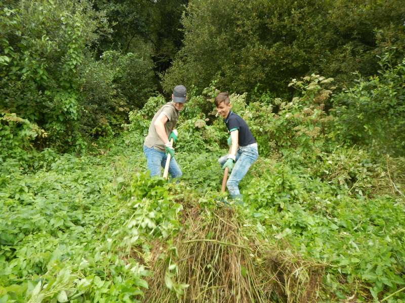 les jeunes plein d'�nergie, aux prises avec les ronces