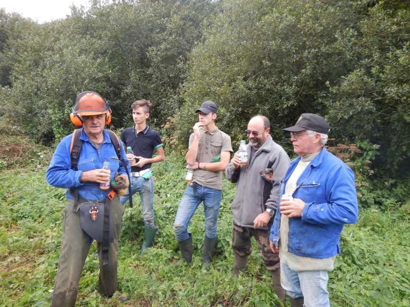Petite pause d�salt�ration avant la reprise
