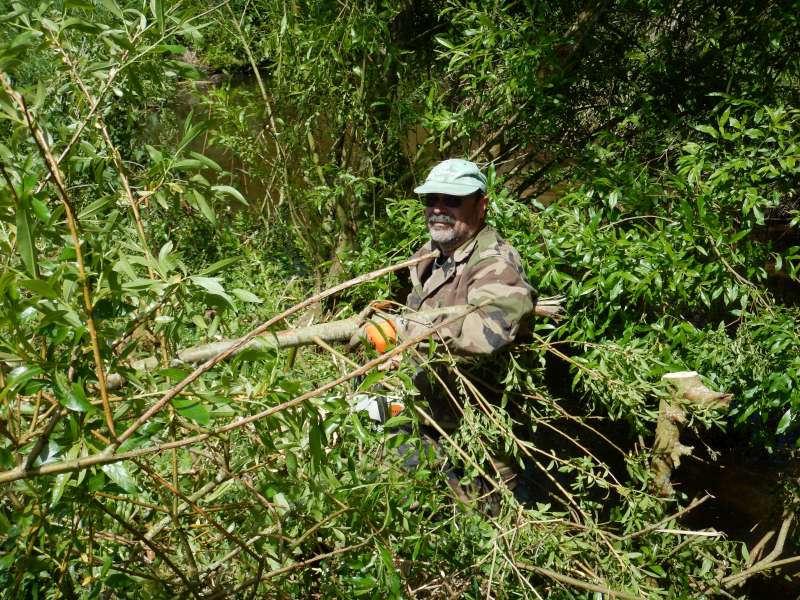 Mise en jambes pour serge: Un osier cass� par la derni�re temp�te