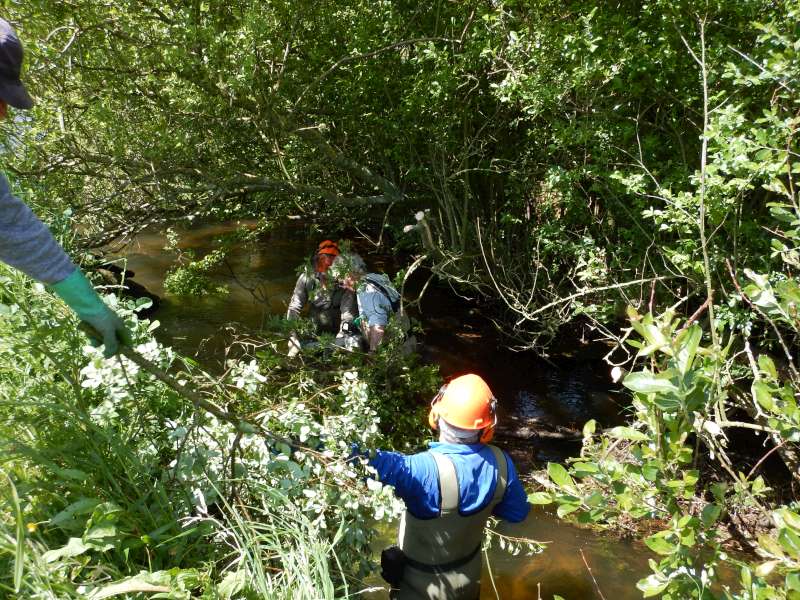 Michel, Guy, et Thierry s'y collent!